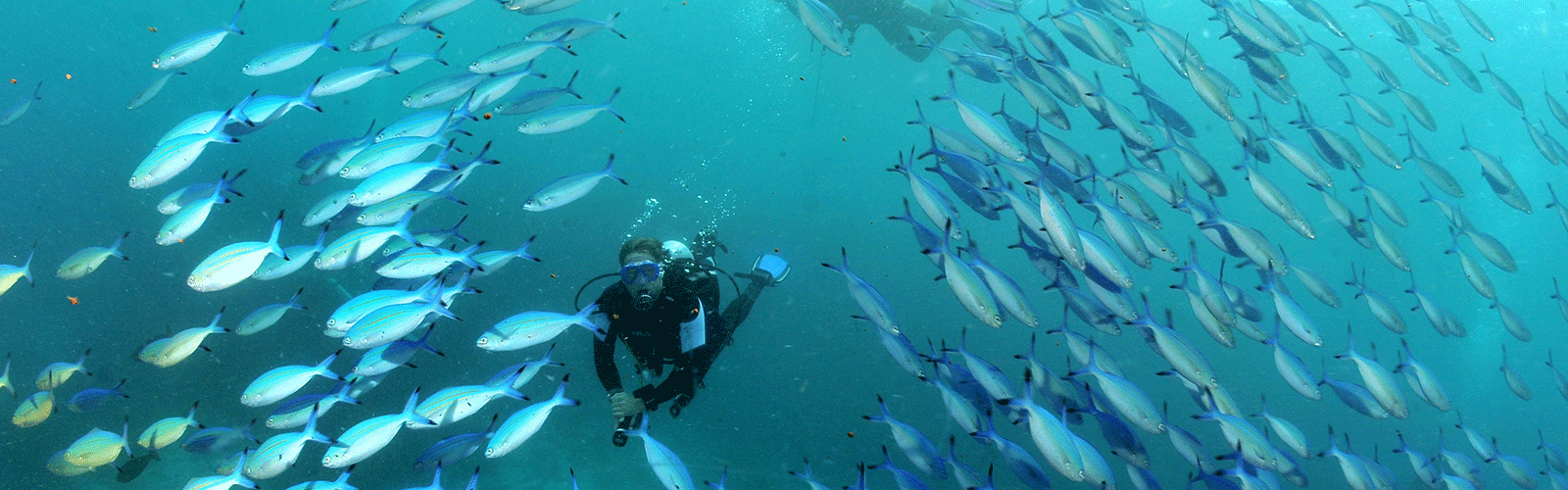 Maldives scuba diving