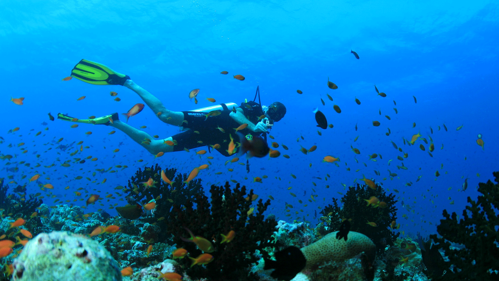 Maldives scuba diving