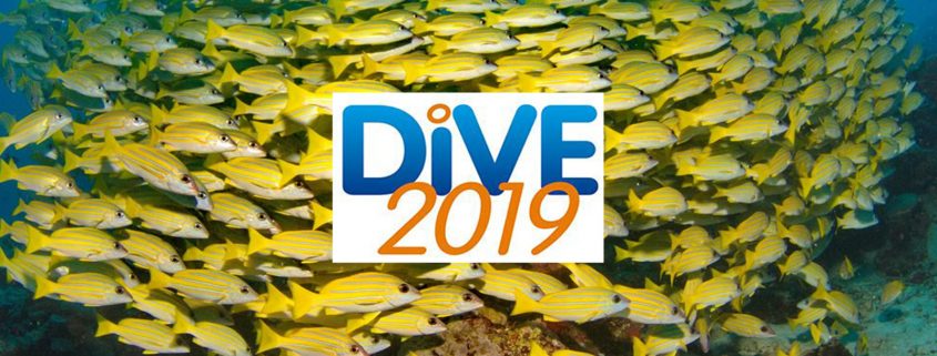 Dive 2019 NEC Show