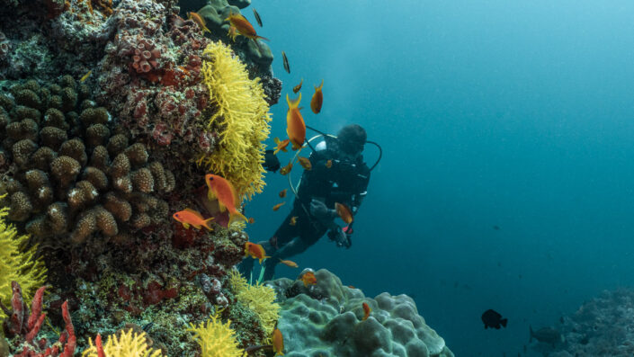 Divers_Reef_-57