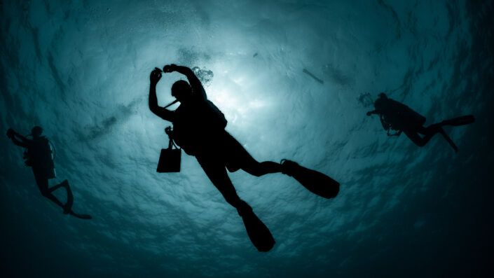Divers_Silhouette_01