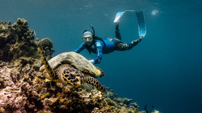 Snorkellers & Turtles_02