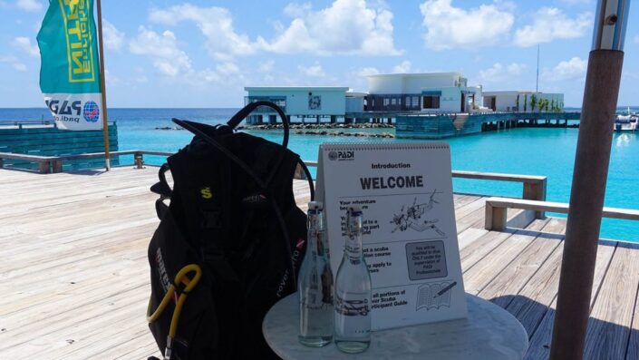 dsd_lesson_16_9-1030×580