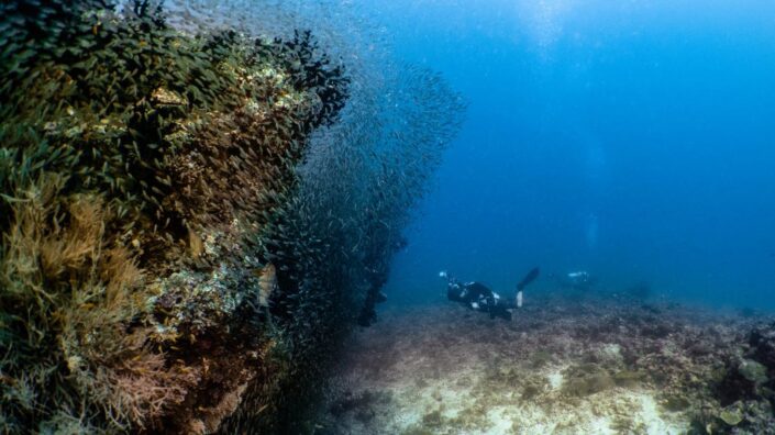 reef_edge_16_9-1030×579