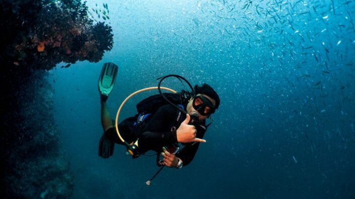 reef_fish_16_9-1030×579