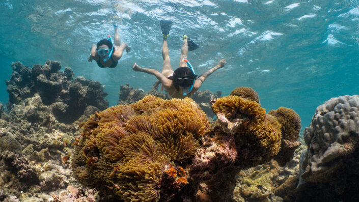 snorkelling_8