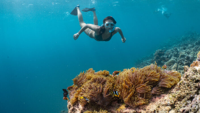 snorkelling_9